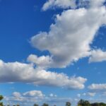 青空と木